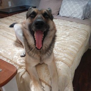 Meet your Posher, Barbara